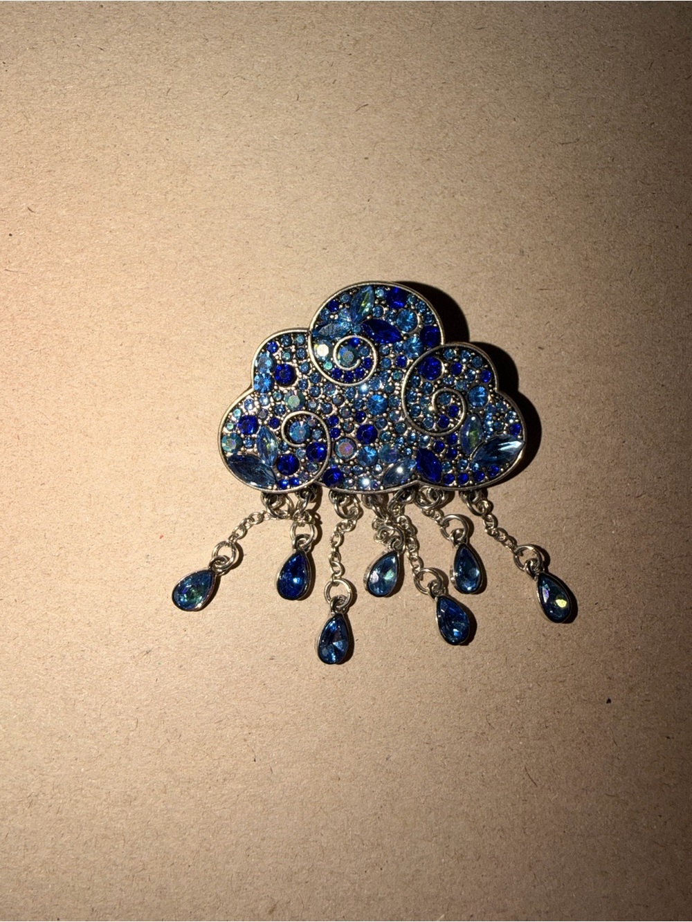 Beautiful Raincloud Brooch